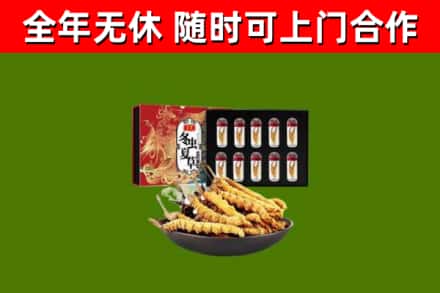温岭市烟酒回收冬虫夏草礼盒.jpg